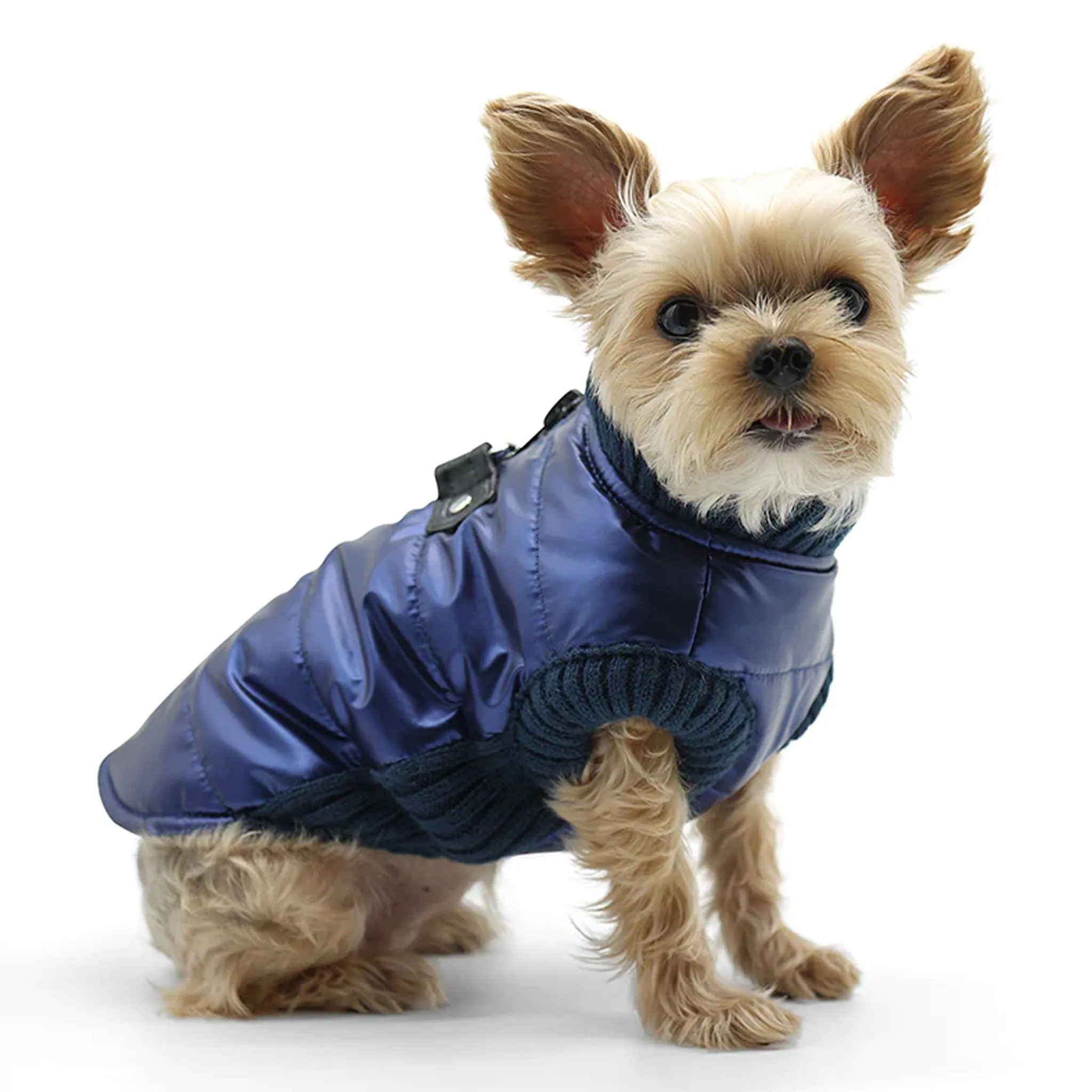 Dogo Pet Fashions Runner Coat - Metallic Navy