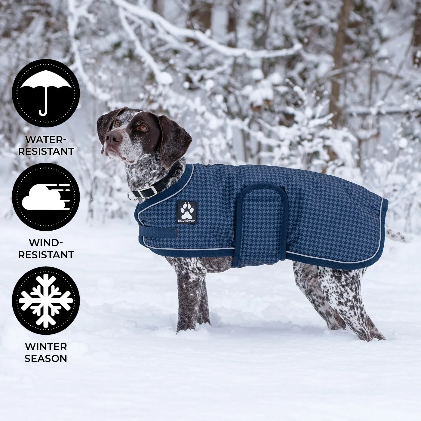 Expedition Dog Coat