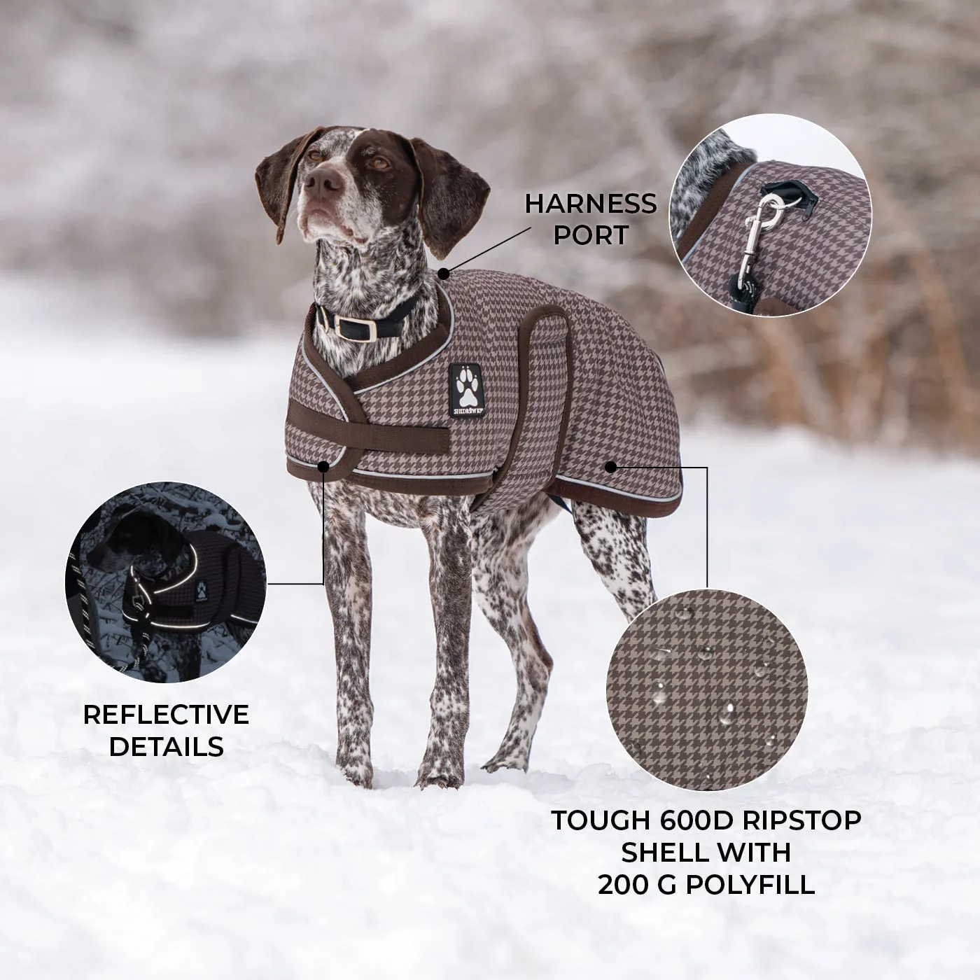 Expedition Dog Coat