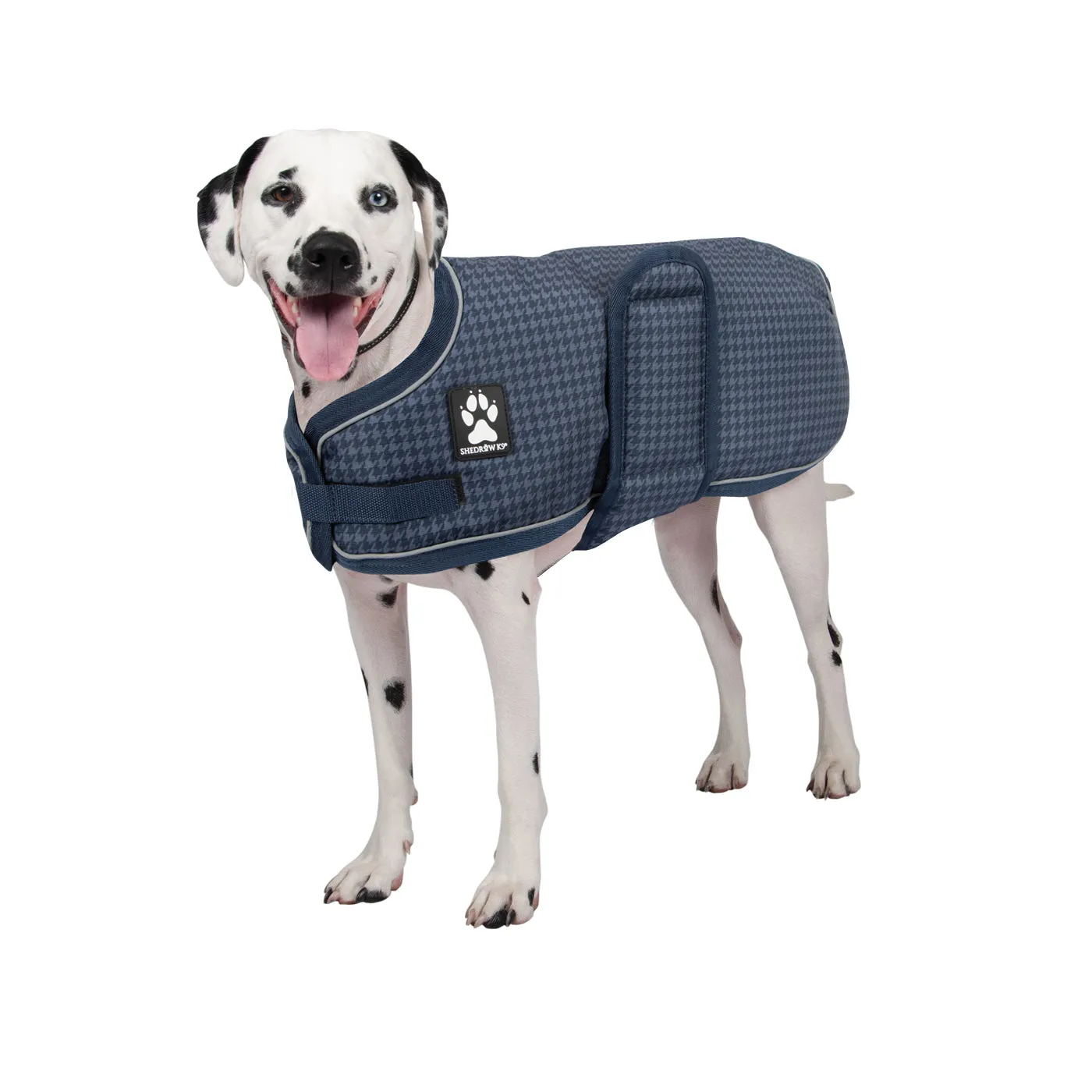 Expedition Dog Coat