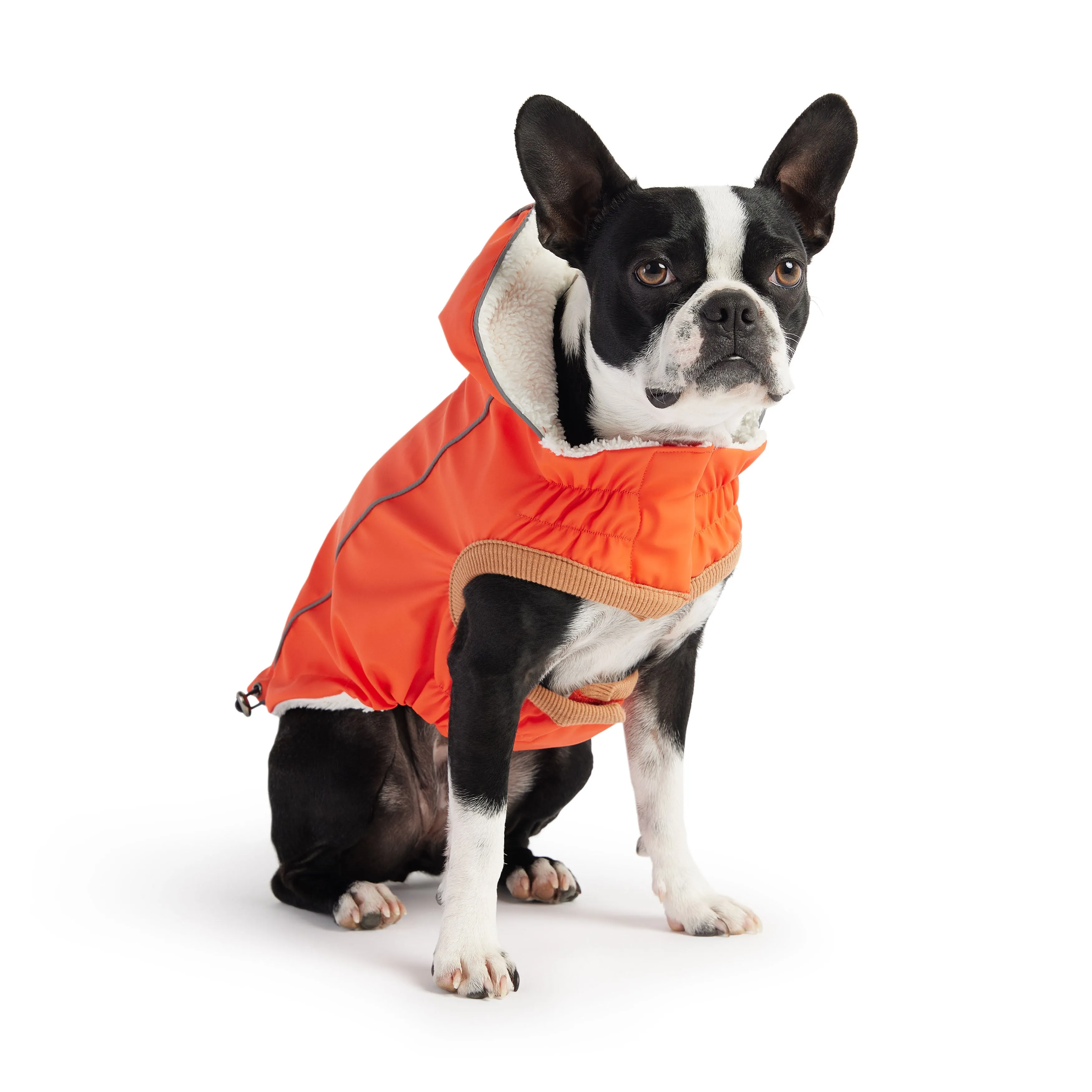 Insulated Waterproof Dog Winter Raincoat - Orange