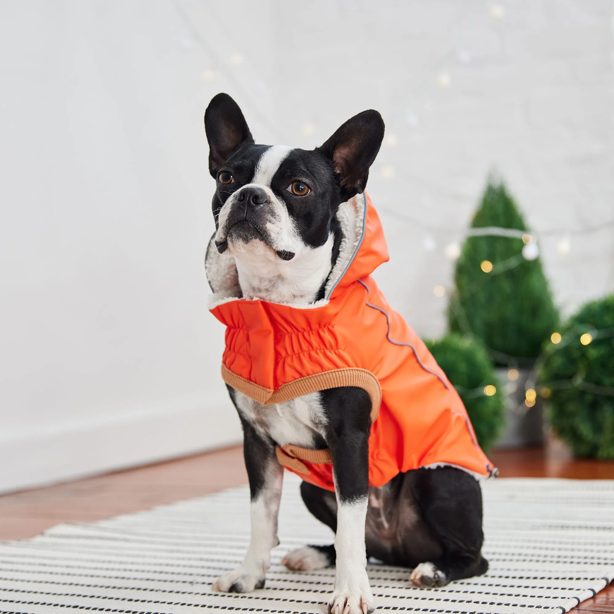 Insulated Waterproof Dog Winter Raincoat - Orange