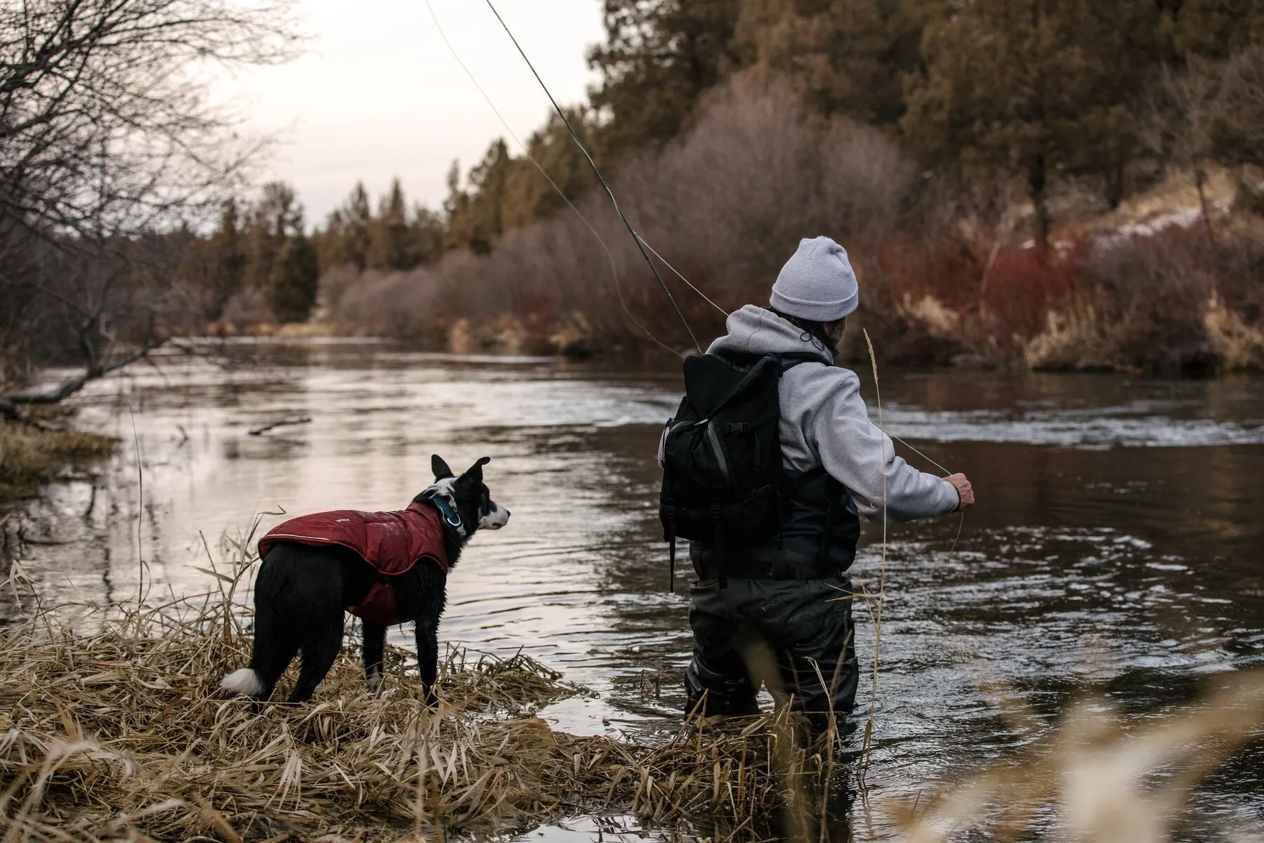 Ruffwear Quinzee Dog Winter Coat