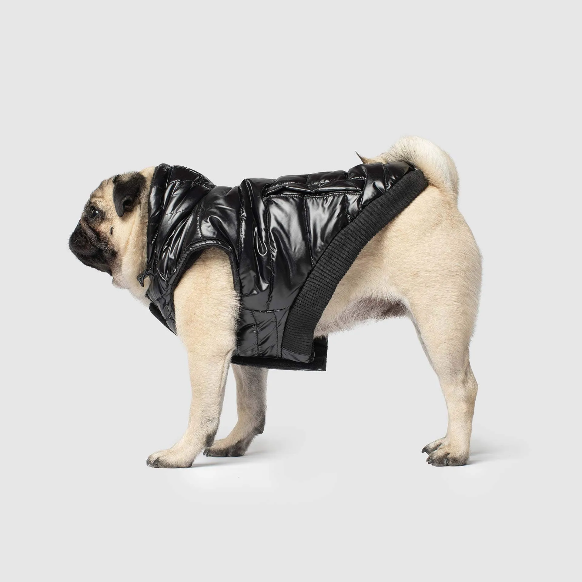 Shiny Puffer Dog Coat in Black (FINAL SALE)